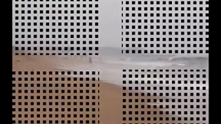 පරිනත කාන්තාවක් හා තරුණ මිනිහා